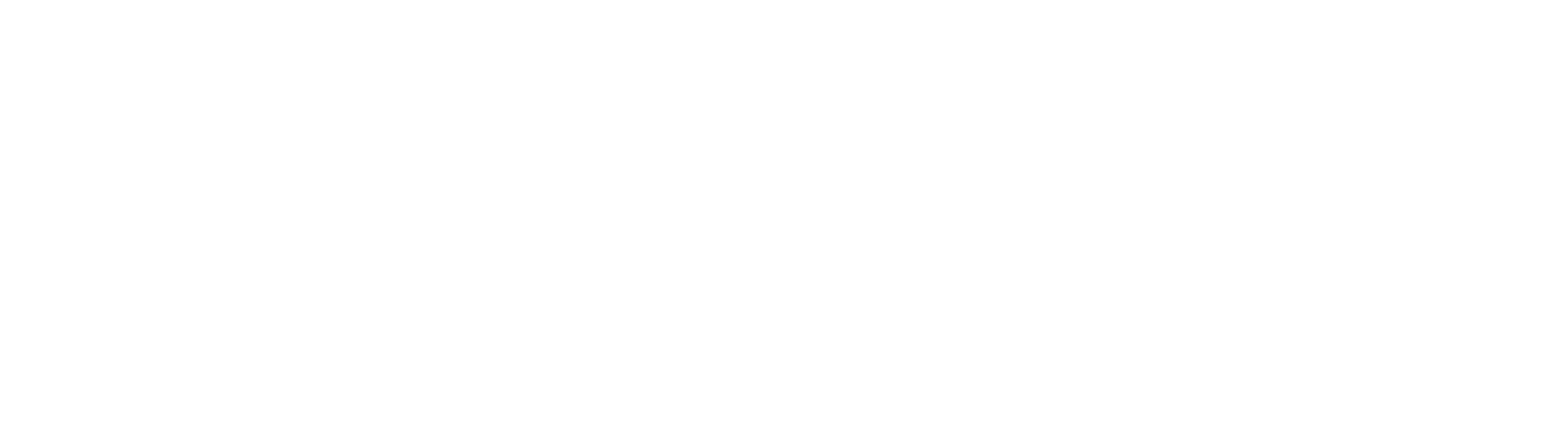 Logo Numa