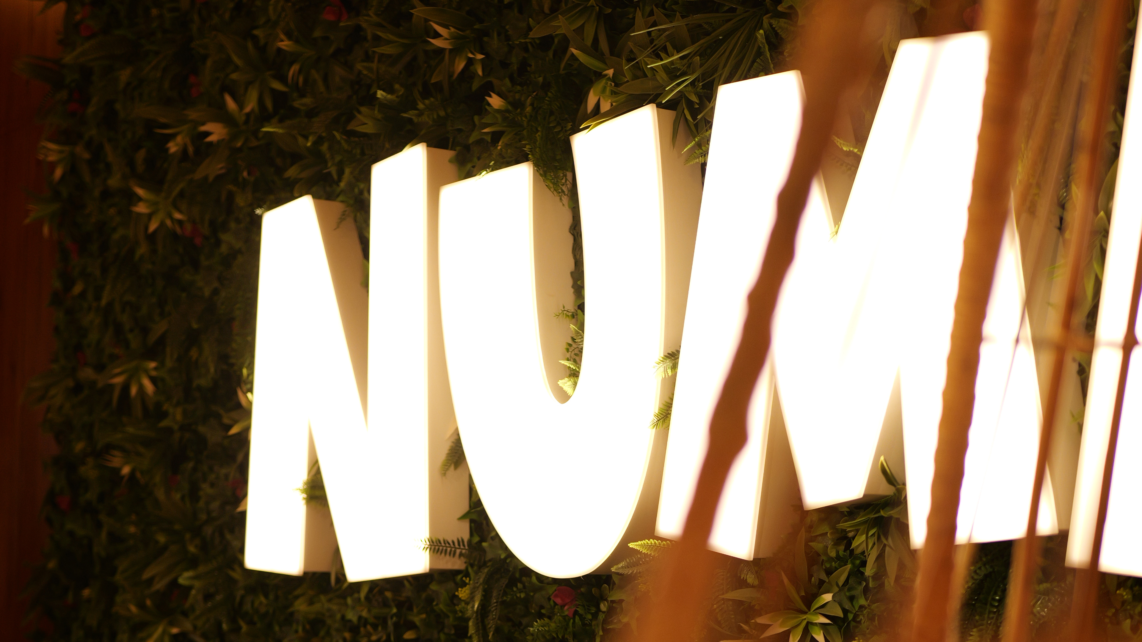 Vue du Numa